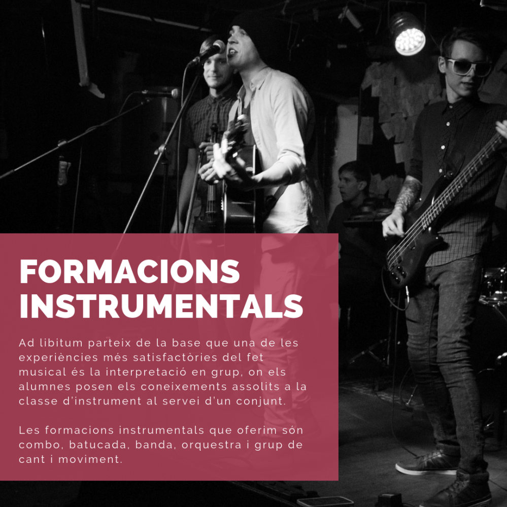 FORMACIONS INSTRUMENTALS